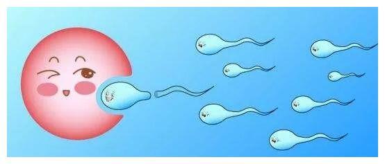 高龄孕妇