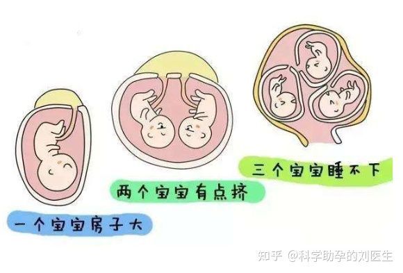 高龄夫妻