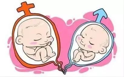 试管婴儿技术